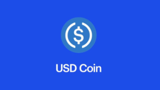 Продати USD Coin USDC фото